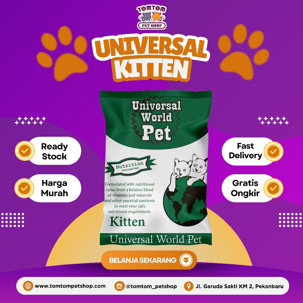 UNIVERSAL KITTEN