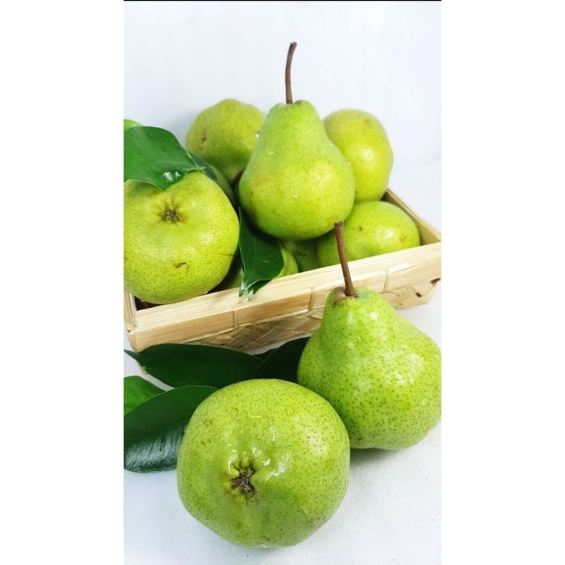 

PEAR PAKAM JAMBU