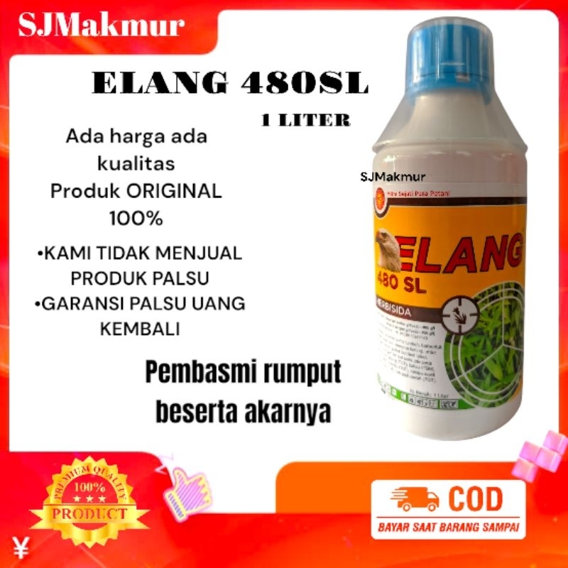 Pembasmi rumput sampai akar obat rumput sampai akar ELANG 480SL