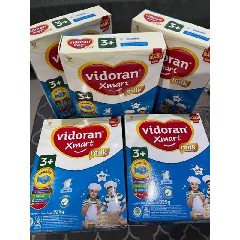 

VIDORAN XMART 3+ 925 Gr
