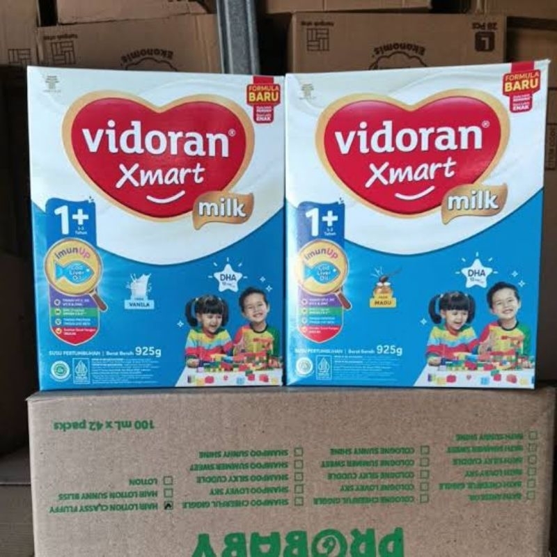 

VIDORAN XMART 1+ 925 Gr