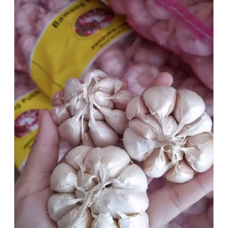 

Termurah Bawang Putih FRESH bersih