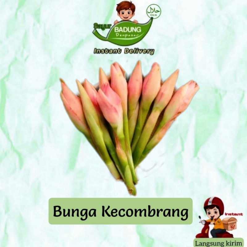 

Bunga kecombrang & batang kecombrang ( bongkot)_ sayur badung
