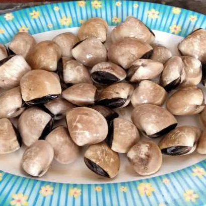 

Kerang Tahu Kepah | Rendah Kalori Tinggi Protein