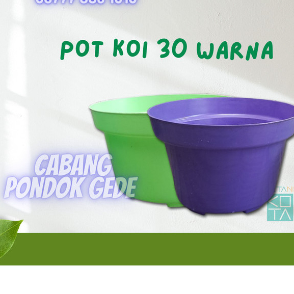 Pot koi warna 30 cm