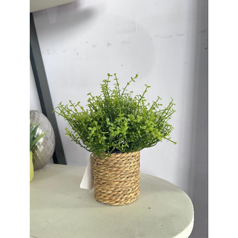 INFORMA TANAMAN ARTIFICIAL// TANAMAN HIAS