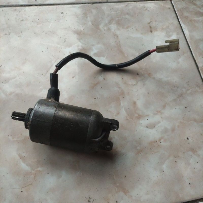 dinamo stater mio sporty