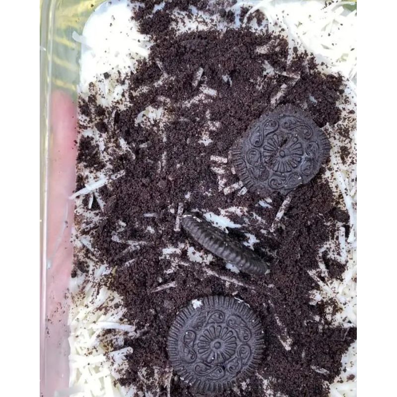 

kuecakecheeseoreo