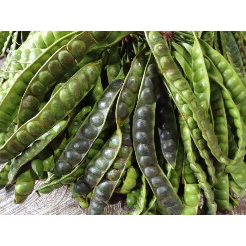 

PROMO PETE MURAH PETE BS BERAT 1KG