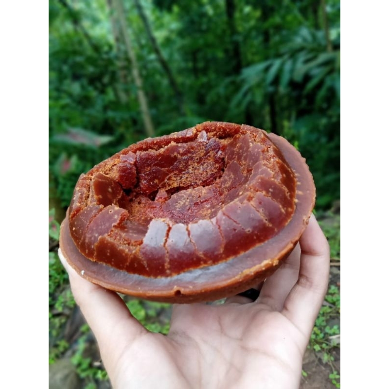 

GULA AREN MURNI TANPA CAMPURAN