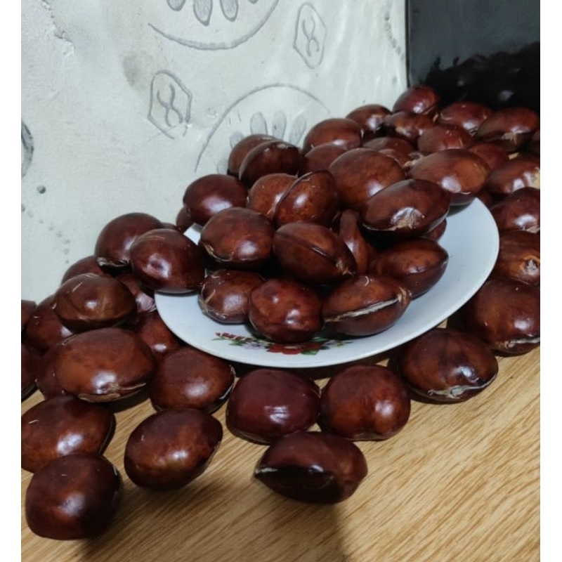 

jengkol tua pilihan