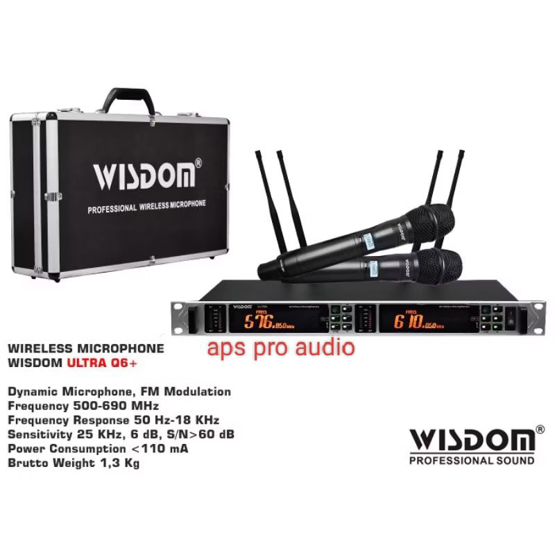 MIC WIRELESS WISDOM ULTRA+Q6