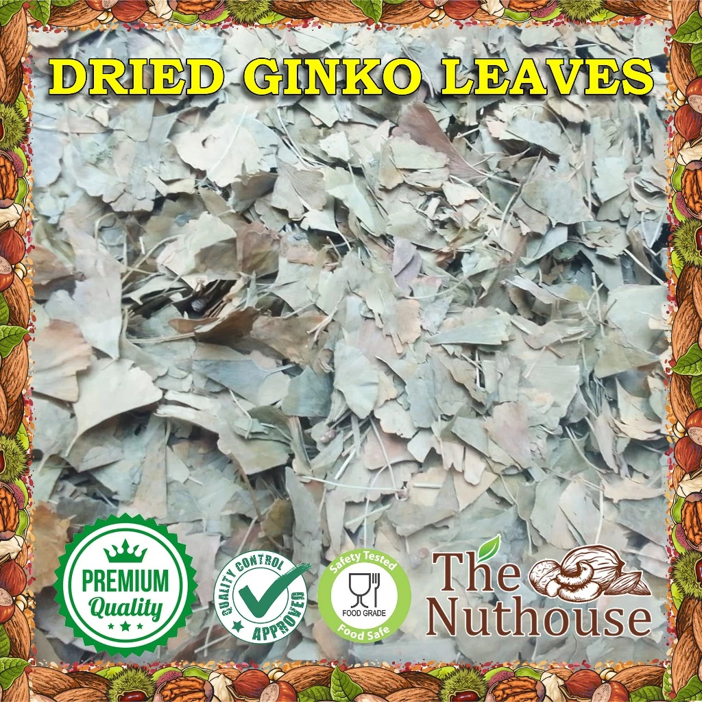 

50gr Dried Gingko Biloba Leaves / Daun Ginko Biloba Kering / Ginkgo Leaf [Premium Quality]