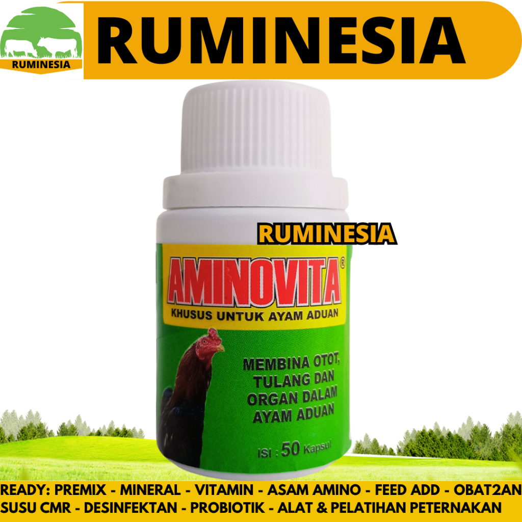 AMINOVITA 50 KAPSUL - Obat Ayam Aduan Penguat Otot Tulang & Meningkatkan Kesehatan Ayam Petarung
