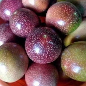 

buah markisa ungu 500