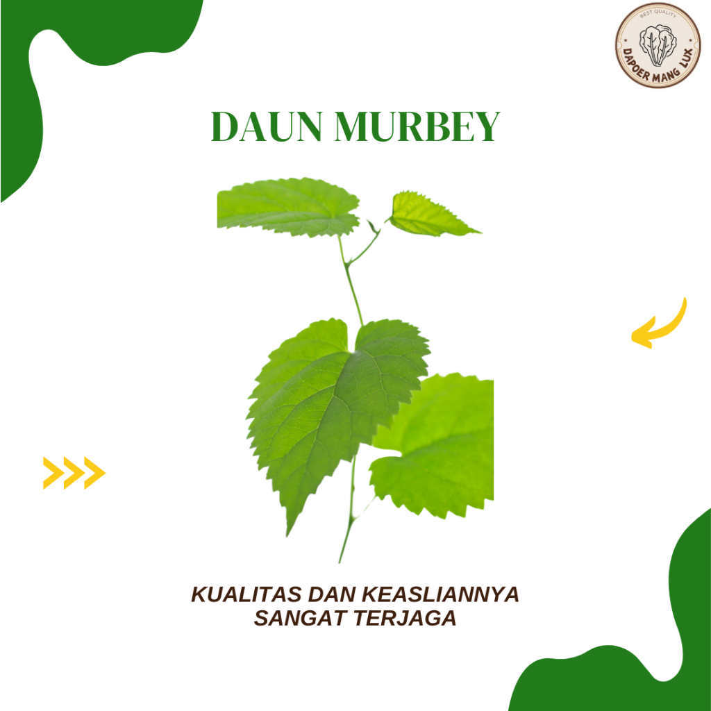 

DRIED SERBUK DAUN MURBEY BEST SELLER