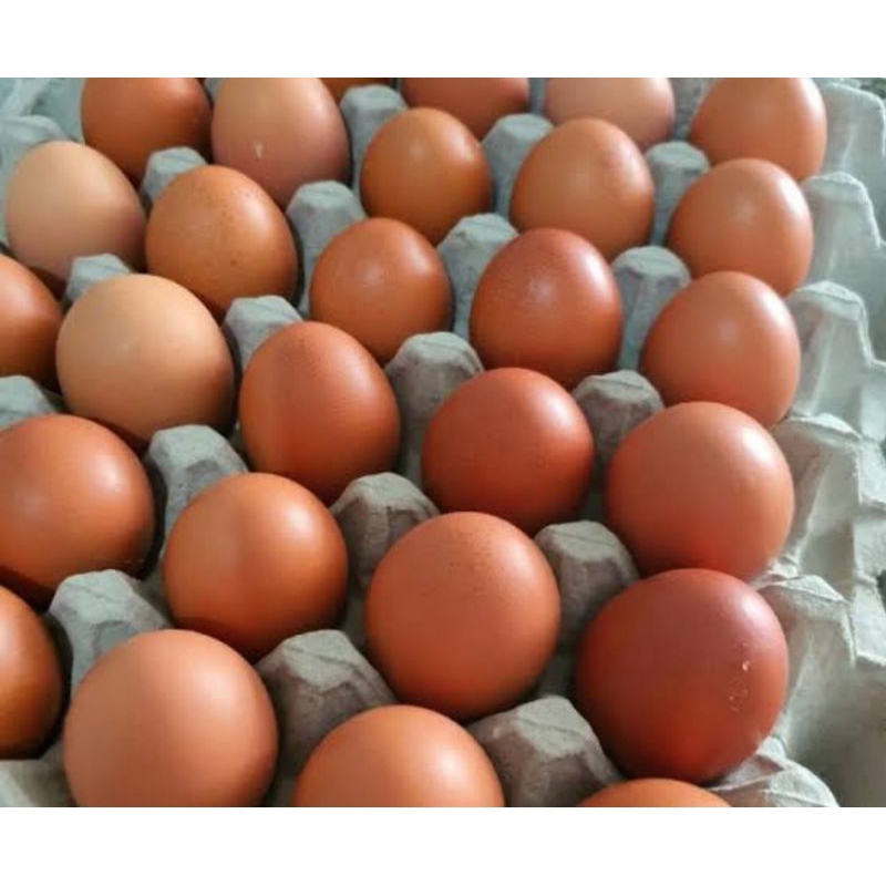 

Telor ayam negeri curah (1kg)
