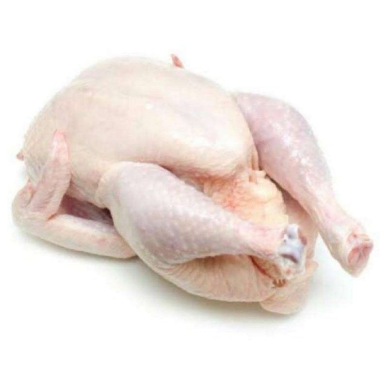 

Ayam broiler segar 1 kg