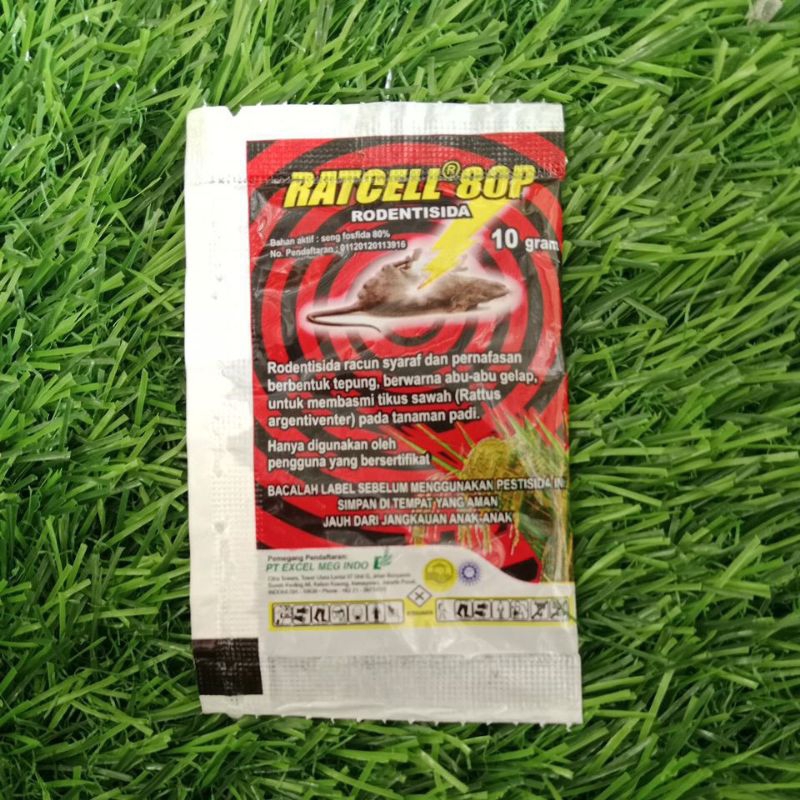 RODENTISIDA RATCHEL - 10 GR ( RACUN TIKUS )