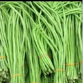 

kacang panjang 500gram Rp. 9000
