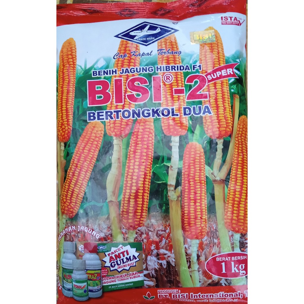 BISI 2 JAGUNG HIBRIDA CAP KAPAL TERBANG