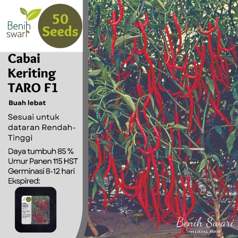 Benih Swari: (isi 50 butir) Benih Cabai Keriting TARO F1 Super Rimbun