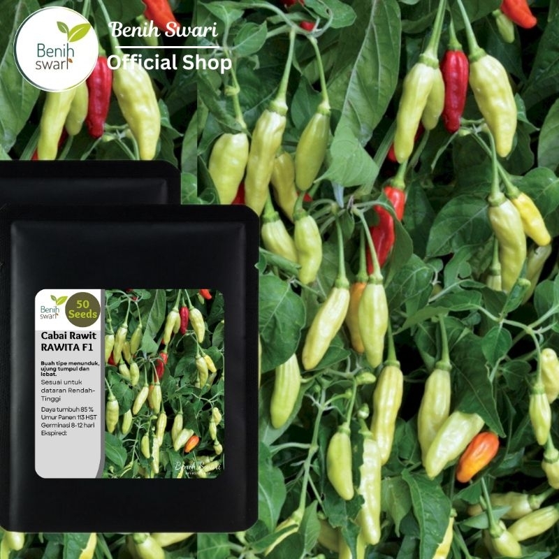 Benih Swari: (isi 50 butir) Benih Cabai Rawit RAWITA F1