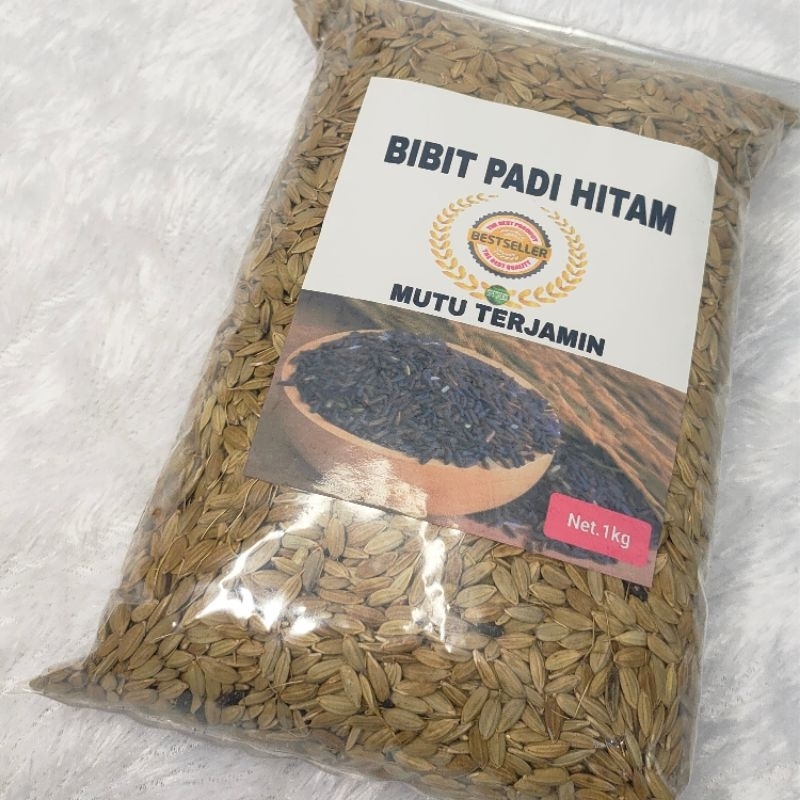 

Cod gabah padi hitam kemasan 1 kg