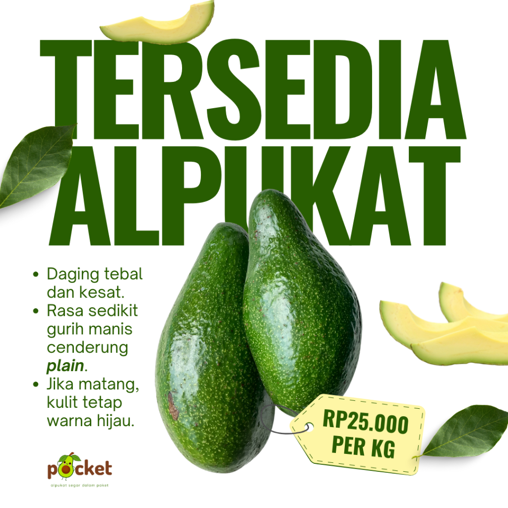 

Alpukat Reguler POCKET Bergaransi