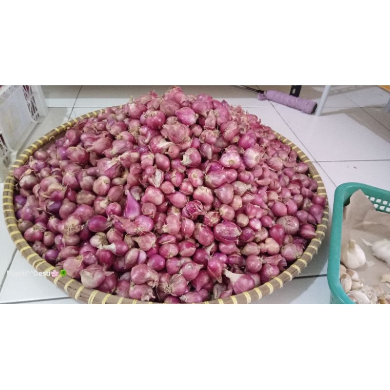 

Bawang merah super