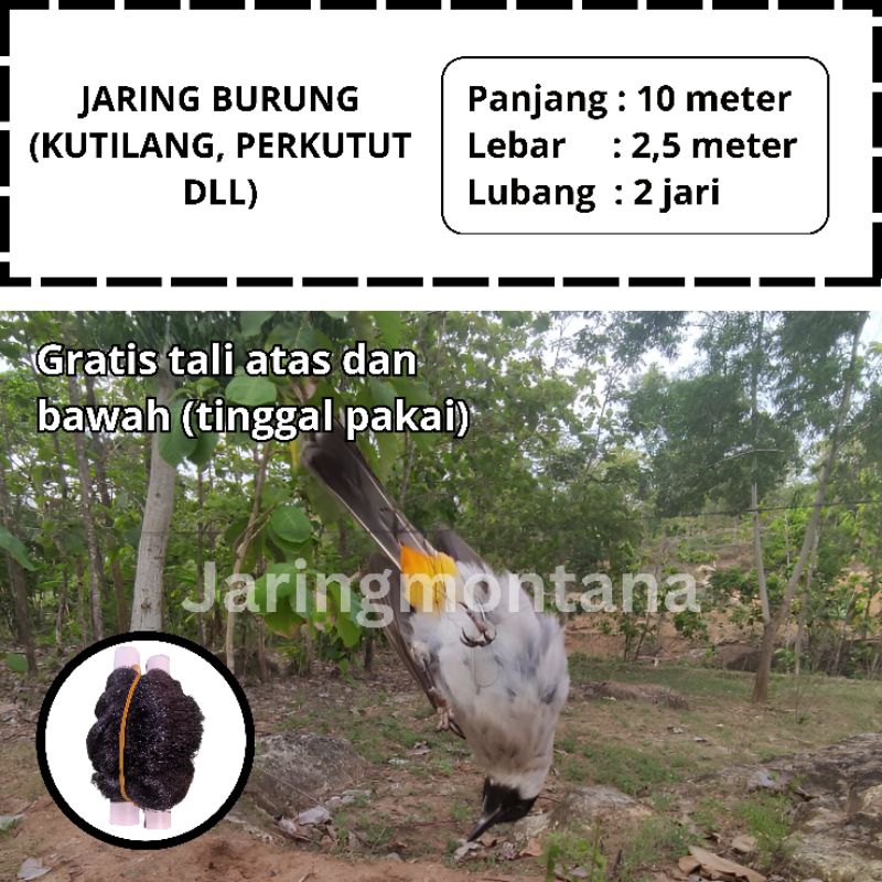 JARING KUTILANG JARING BURUNG KUTILANG SIAP PAKAI JARING MONTANA JARING