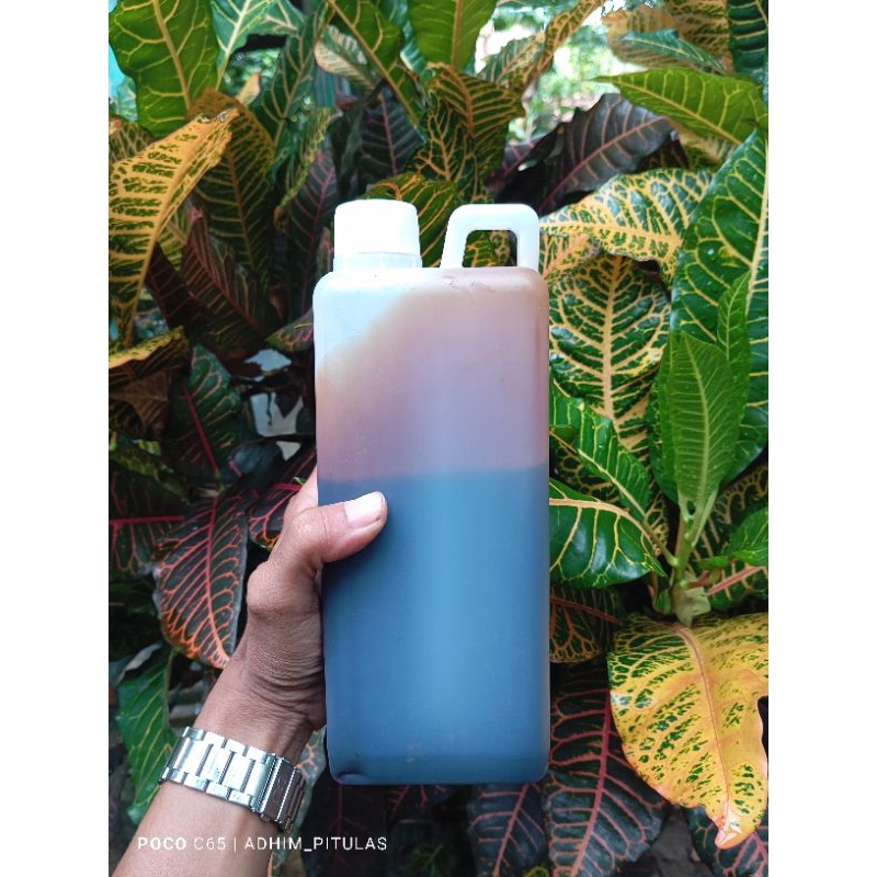 

Madu hitam Pahit Mahoni 1 kilo