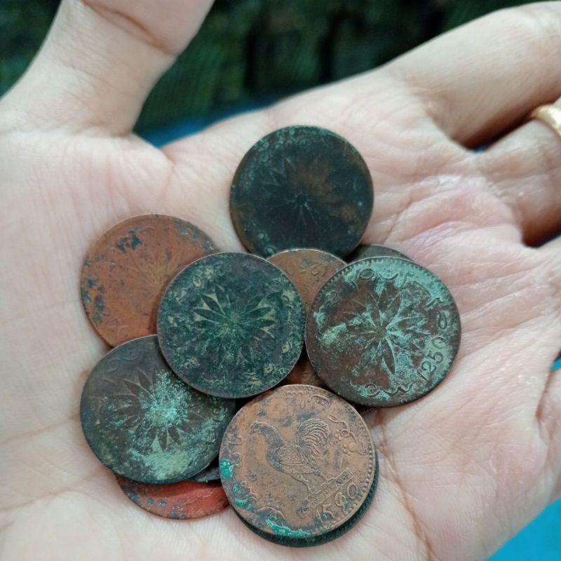 koin ayam teratai kondisi bagus