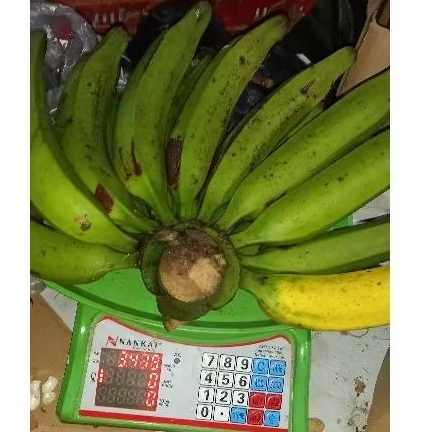 

PISANG TANDUK/PISANG BAWEN PISANG GORENGAN DIKIRIM BIJIAN BERAT PER 1KG