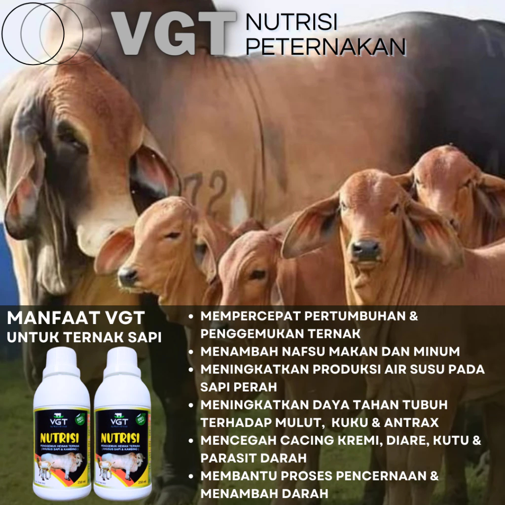 Vitamin Nutrisi Sapi 250 ml - VGT Sapi dan Kambing - Domba - VGT Nutrisi - VGT