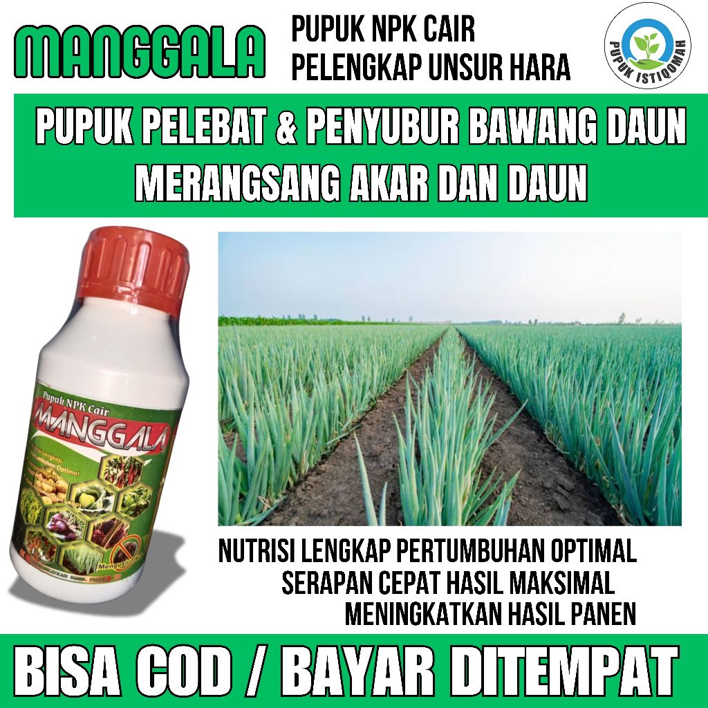 MANGGALA Pelebat Bawang Daun Terbaik Tahan di Musim Hujan - Pupuk NPK Cair Pelebat Bawang Daun, Pupu