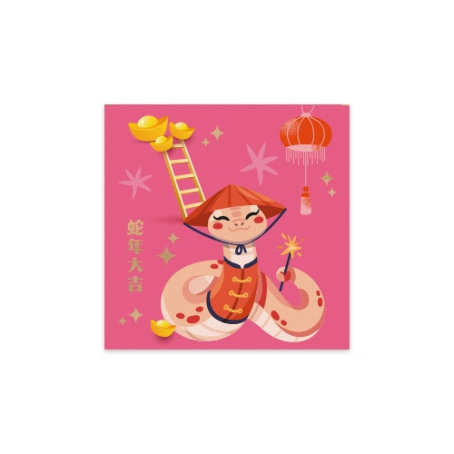 

Papermark Money Envelope Slinky Nooddles set of 12