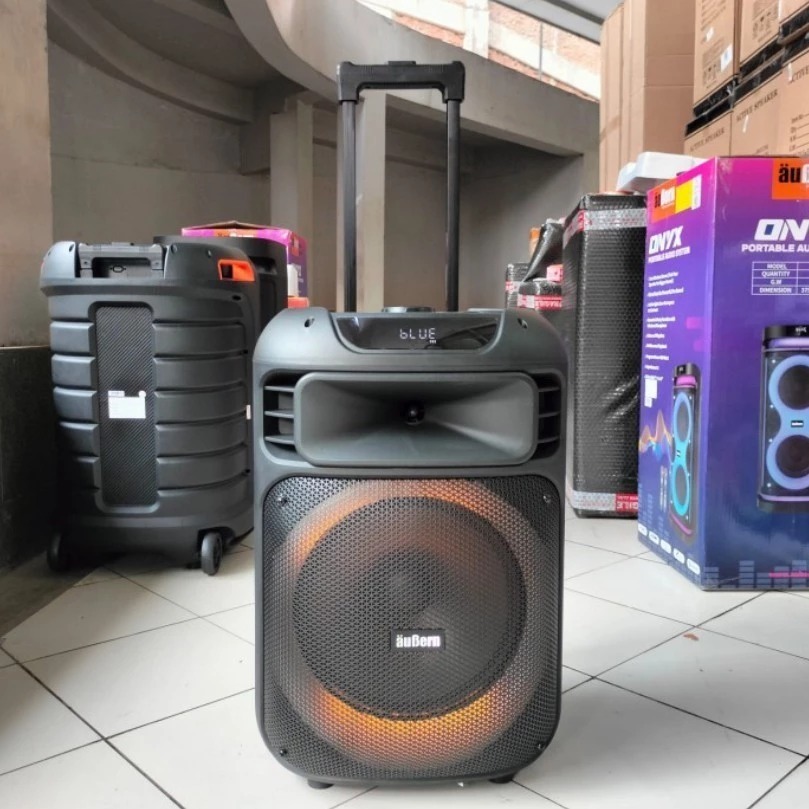 Aubern Professional Portable Speaker System VS12 / VS 12 / VS-12 (Portable Speaker AUBERN)