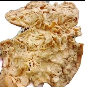 

MANDAI KULIT CEMPEDAK COMEL GRATIS TOPLES SATU KILO