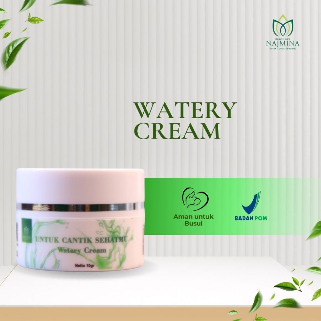 Watery Cream by Najmina Beautycare