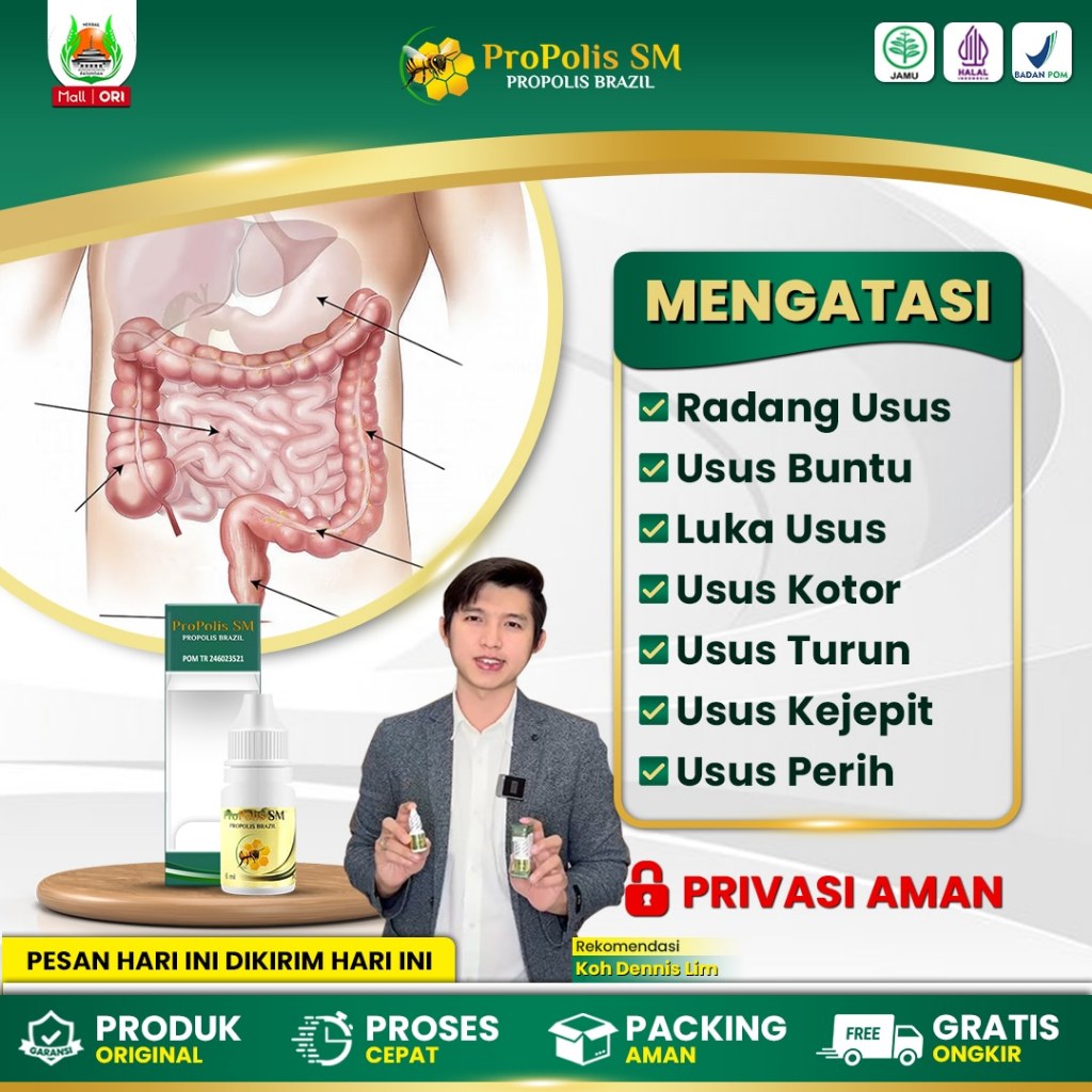 Obat Usus Buntu, Radang Usus, Infeksi Usus Besar, Usus Turun Hernia Turun Berok - Propolis SM Brazil