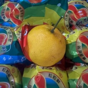 Buah Jeruk Dekopon Jempol 1 keranjang