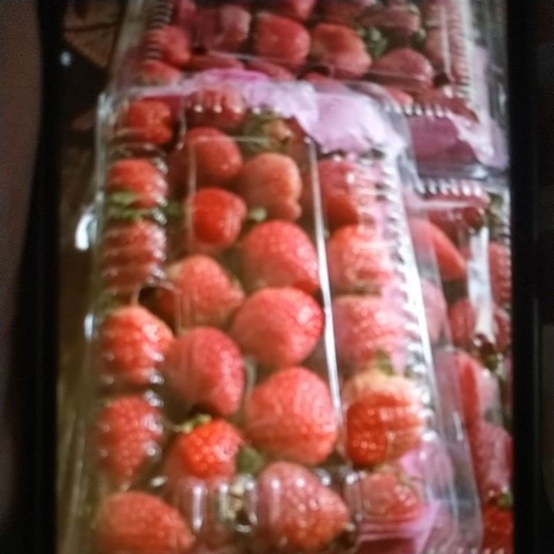 

buah strawberry segar 500 gr