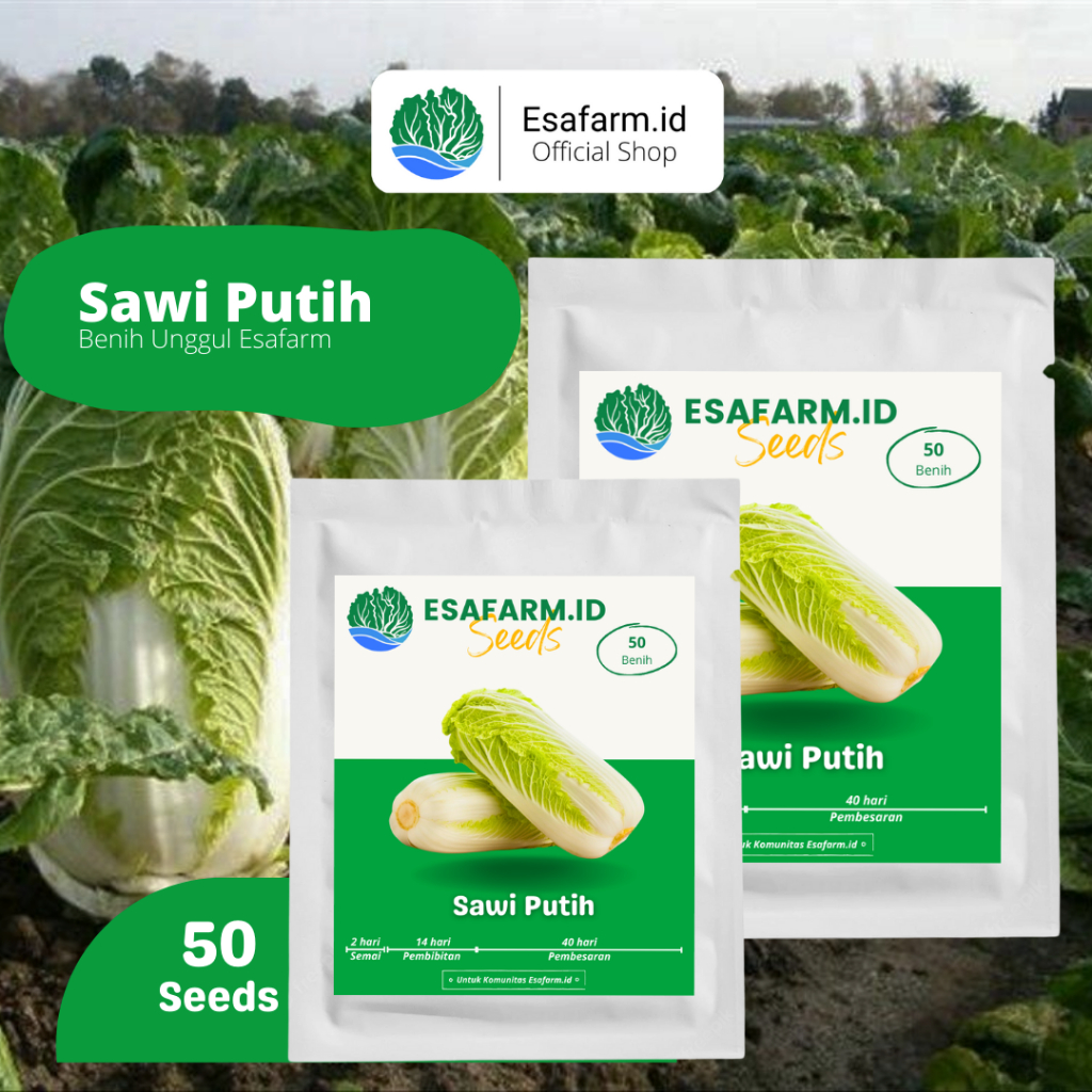Benih Bibit Sawi Putih F1 Dataran Rendah by ESAFARM.ID