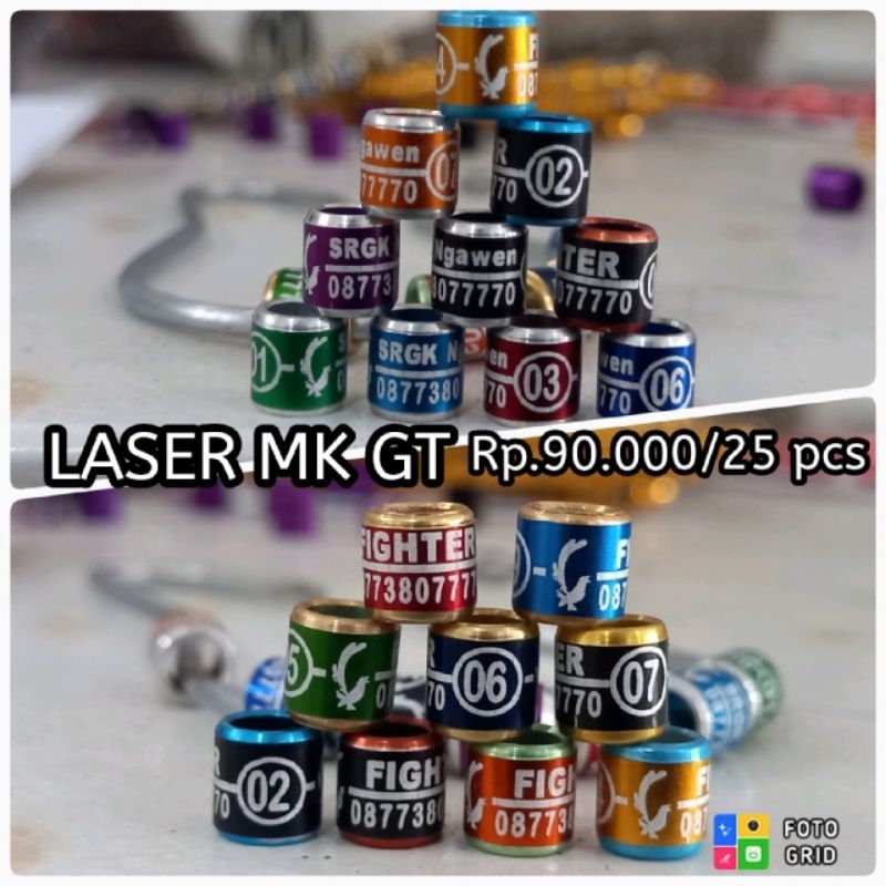 RING BURUNG MURAI BATU/BINGGEL MURAI