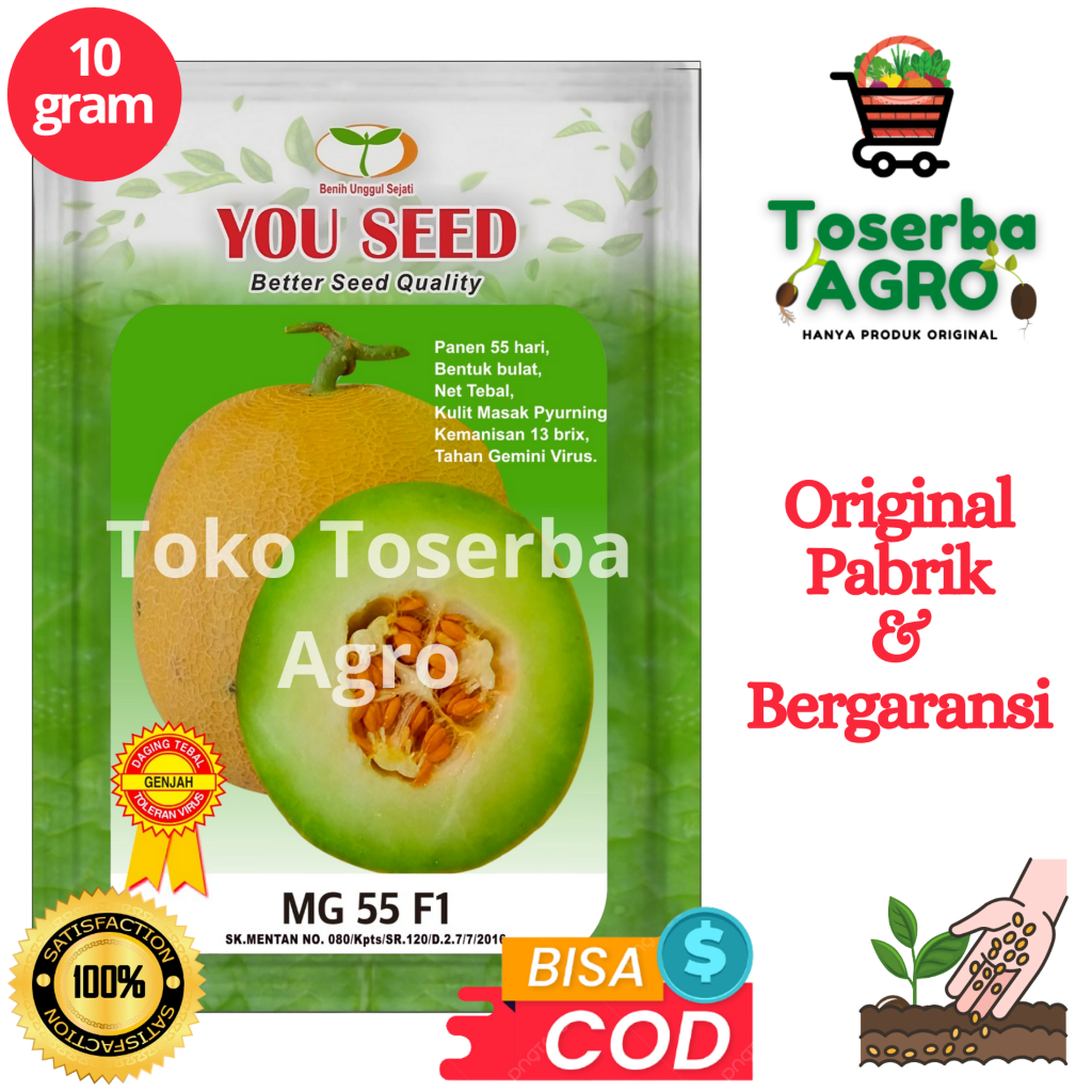 Bibit Benih Melon Madu MG 55 F1 10g 600 Butir dari Cap You Seed