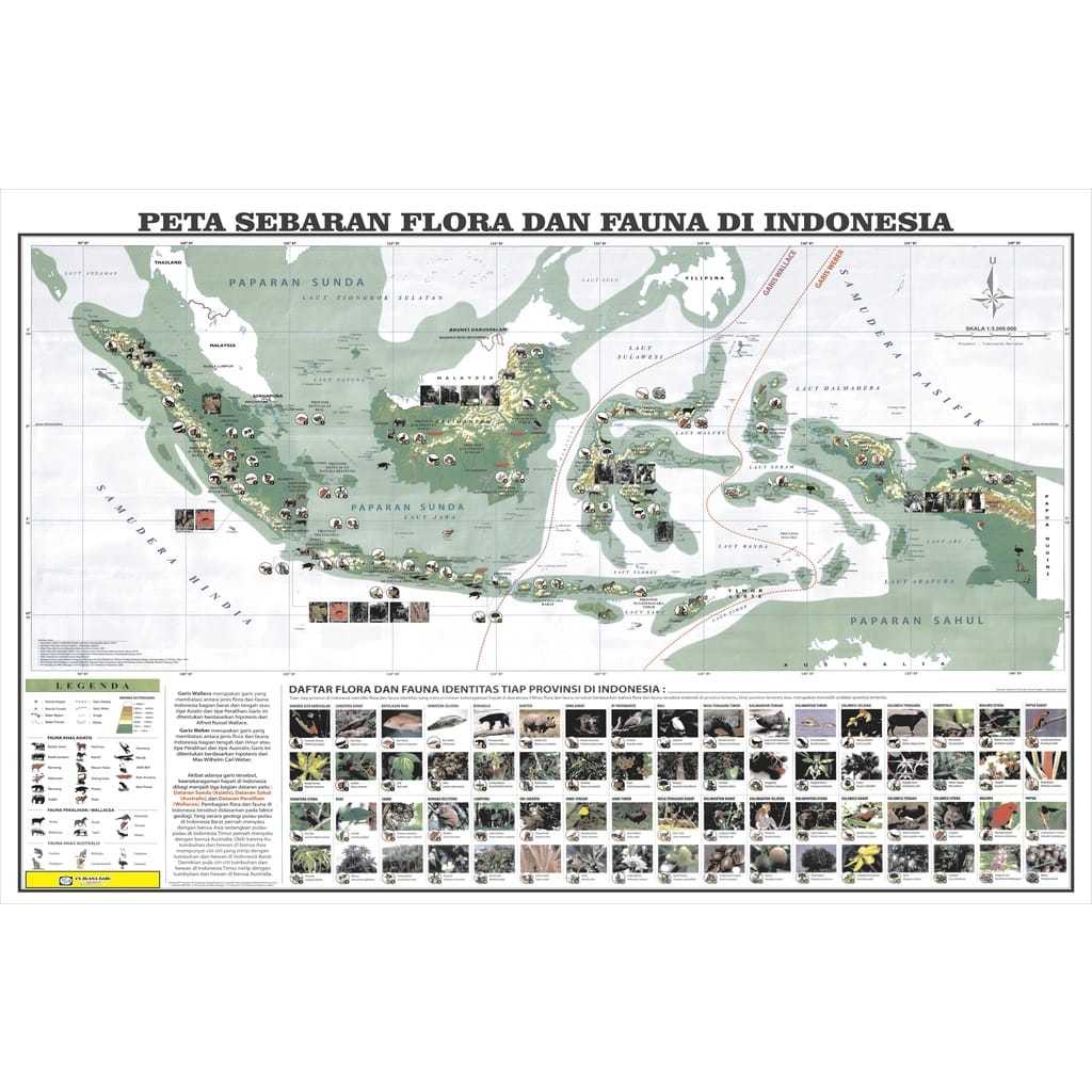 

Peta sebaran flora dan fauna di Indonesia