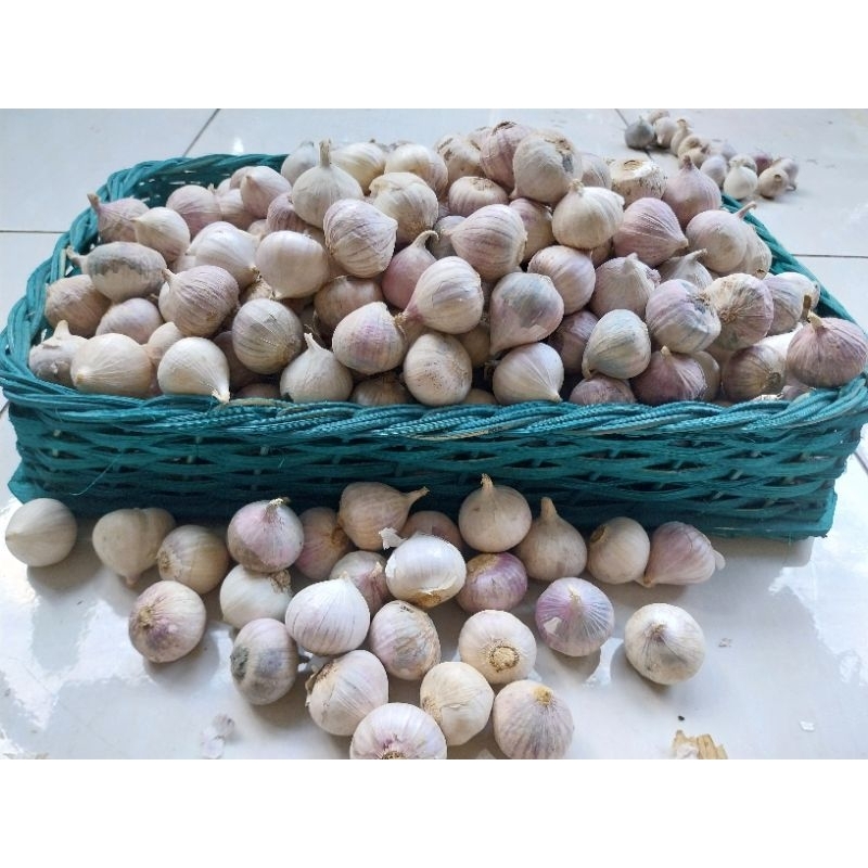 

500Gram BAWANG LANANG/500Gram BAWANG PUTIH TUNGGAL/500Gram HERBAL PREMIUM BAWANG LANANG SUPER 500Gram