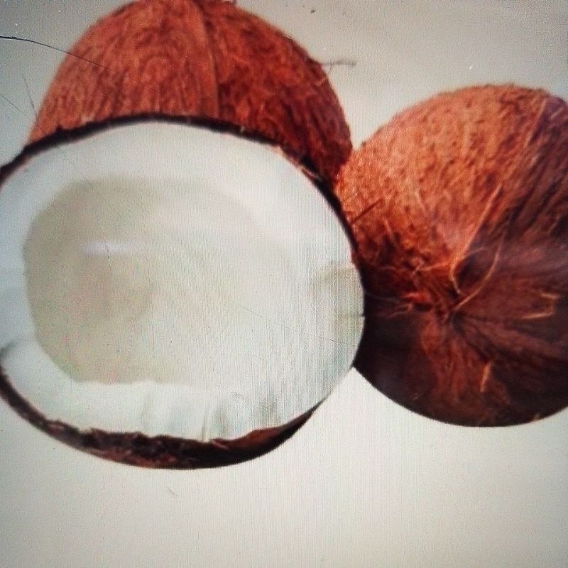 

kelapa bulat 1buji ( diparut)