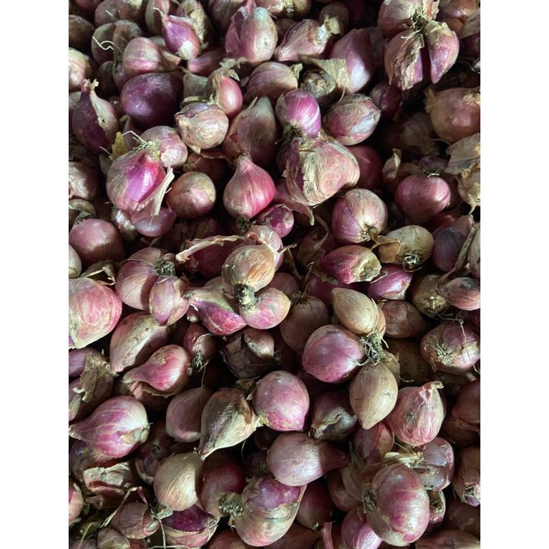 

Bawang merah 1kg